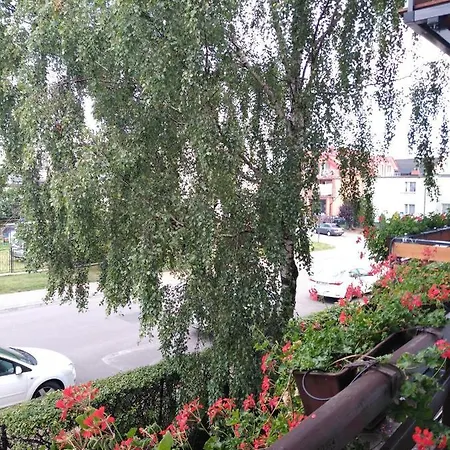 Elsta